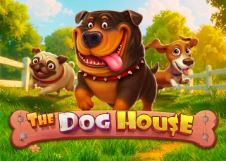 punslot168 ดีไหม The Dog House ทดลองเล่นฟรี